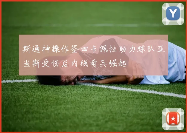 斯通神操作签回卡佩拉助力球队亚当斯受伤后内线奇兵崛起